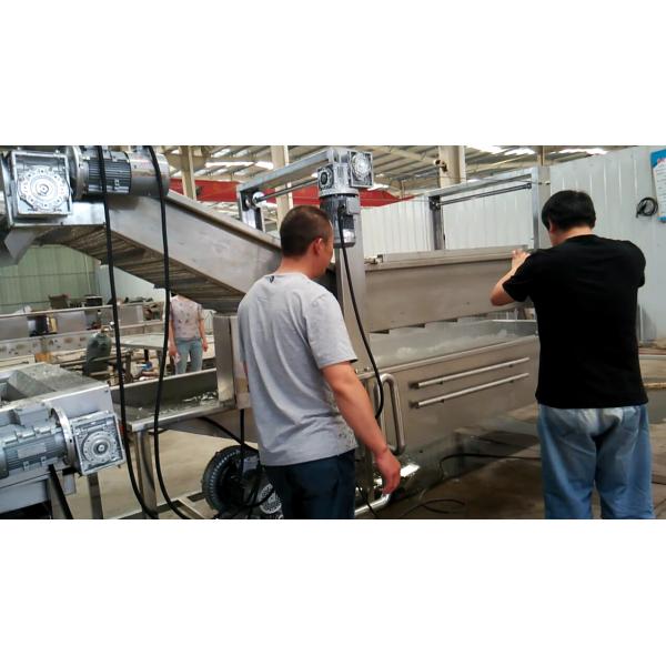 Full Automatic Apple Processing Equipment , Fruit And Vegetable Washer Machine