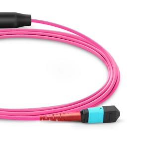 Customized MTP MPO OM4 Multimode 24 Fiber Optic Cable Conversion Harness