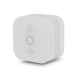 Methane Gas Alarm Detector In Chile With CE RoHS Approved