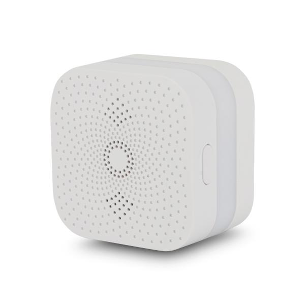 Quality CH4 Gas Alarm Detector For Hilton Hotel Use With CE RoHS wholesale