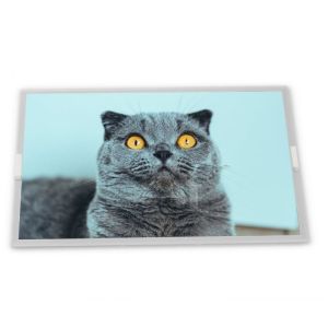 China G156HCE-L01    15.6 Inch 1920*1080 WLED Tft Industry Lcd Screen Panel on sale