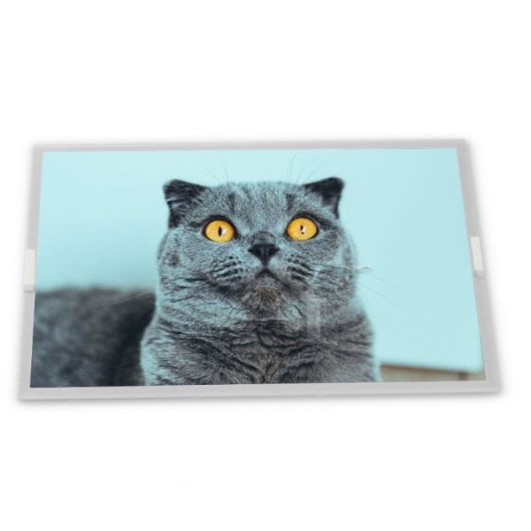 Quality G156HCE-L01    15.6 Inch 1920*1080 WLED Tft Industry Lcd Screen Panel wholesale