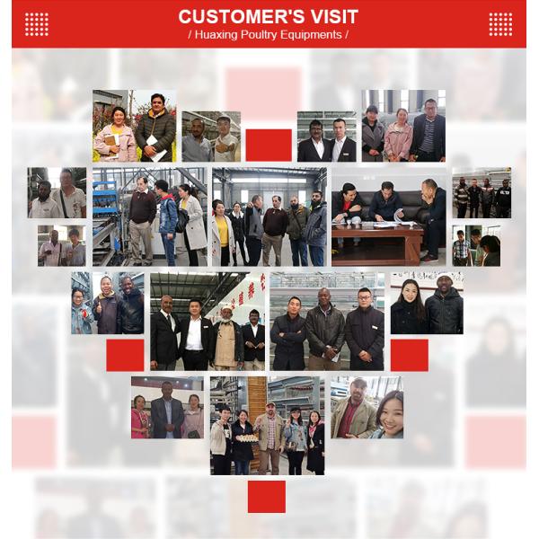 Battery Day Old Chicks Cage Breeding Chicken Cage For Layer Chick