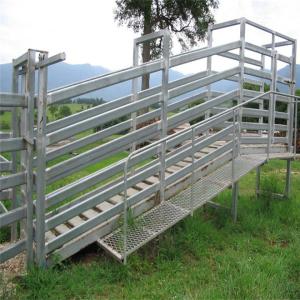 Hot Dipped Galvanized Sheep Loading Ramp Plans Livestock Handling Equipment