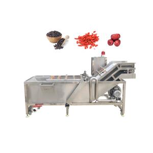 Ozone Bubble Chili Raisin 500kg/h Mango Washing Machine