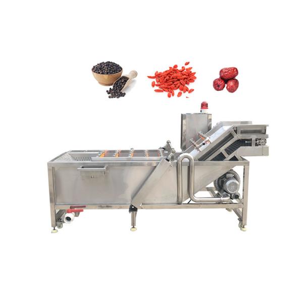Quality Ozone Bubble Chili Raisin 500kg/h Mango Washing Machine wholesale