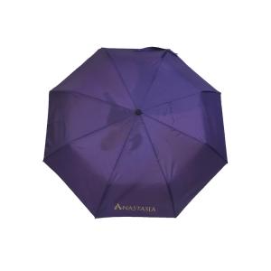 Windproof 21"×8K Double Layer Foldable Umbrella