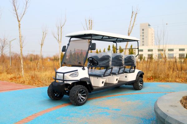 Quality Classic Pointed Six Seat Electric Golf Cart Can Be Equipped With Lithium Battery Or Lead Acid Battery Color And LOGO Customized. wholesale