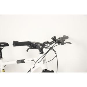 OEM 21 Speed MTB Mountain Bikes With Shimano Tourney Front Derailleur