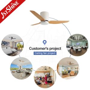 45" ABS Blades LED Ceiling Fan with 3000k/4000k/6000k Color Temperature and