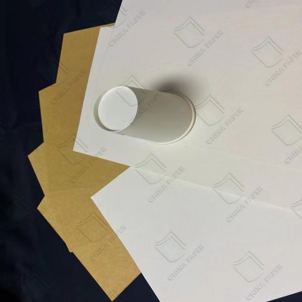 Quality Reliable PE Coated Cupstock Board For High-Performance Cup Manufacturing wholesale