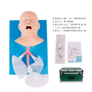 Realistic Cpr Training Manikins Child Tracheal Intubation Model