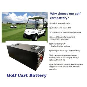 CLF OEM ODM 6000 Cycles LiFePO4 48V 60Ah 100Ah 150Ah 200Ah Cylinder Or Prismatic