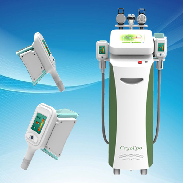 Quality Cryolipolysis Machine / cryolipolysis Slimming Machine With Optional Lipo Laser Pads wholesale