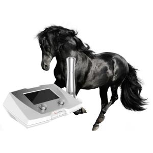 Tendon Injury Equine Shockwave Machine / Equine Shockwave Therapy Device