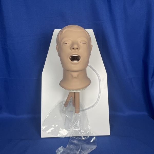 Kingpo Brand Plastic Material Simulated Patient Head with ISO 9360-2-figure 1