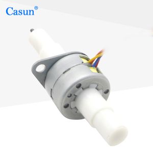 Casun PM Stepper Motor High Precision Motor for Automation Customized Motor