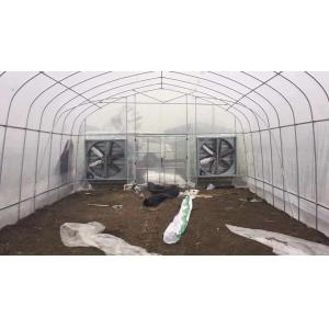 Vegetable Single Span Greenhouse Polycarbonate Sheet Covering