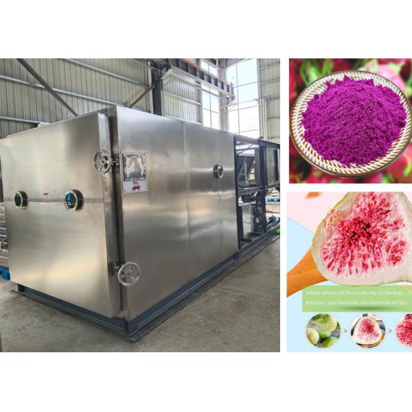 Quality 100kg PLC Controlled Stayfresh Freeze Dryer For Fast Freeze Drying wholesale