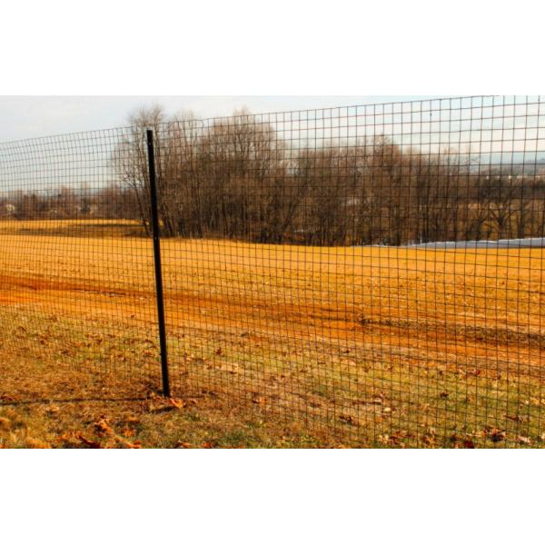 12 Gauge Black PVC Coated Welded Wire Fencing 8 inch Height 2x2 Galvanized Wire