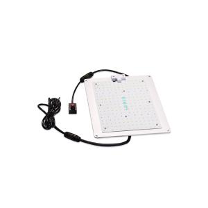 China 2KG 450nm Lm301b White LED Grow Light For Vegetables on sale