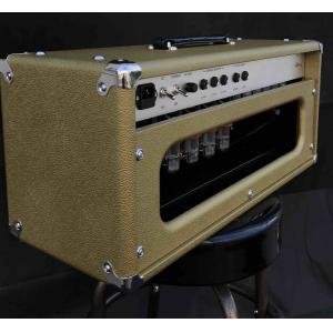 Grand Amplifier D-Style Pedals SSS100 Steel String Singer with FET GAIN, VOLUME,