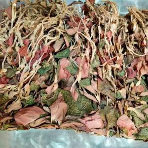 China Dried Anoectochilus Roxburghii Wall Lindl Natural Golden Thread Orchid on sale