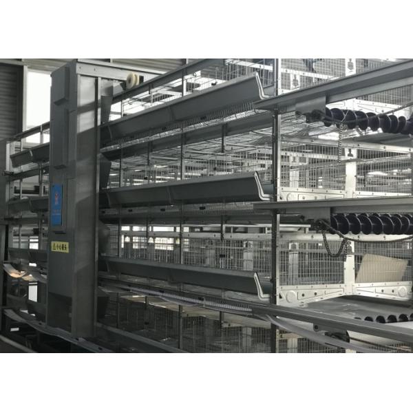 Quality Hot Galvanized Automatic Poultry Feeder System For H Type Layer Cage wholesale