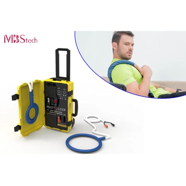 PEMF Pulsed Electromagnetic Therapy Machine PMST Loop Pain Relief And Rehabilita