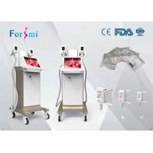 China Coolsculpting equipment best cooling system Cryolipolysis Slimming Machine FMC-I Fat Freezing Machine on sale