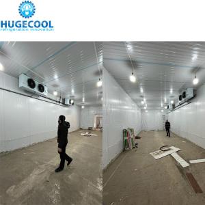 2*2*3m Small Cold Storage Room with Walk-in Function and Freon Refrigerant