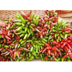 New Crop Stemless Japanese Dried Birds Eye Chilli Paprika A Grade