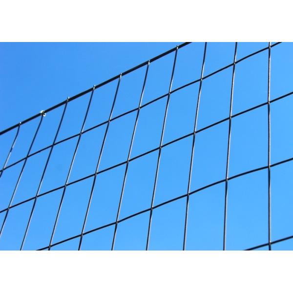 Quality 2 X 4 inch Welded Wire Fence Panels 2.5mm Diameter Galvanised Steel Mesh Sheets wholesale