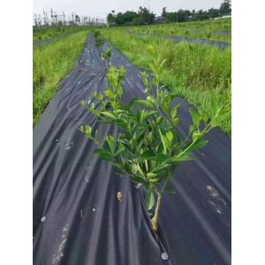 100GSM Spunbonded Erosion Control Mat PP Non Woven Material