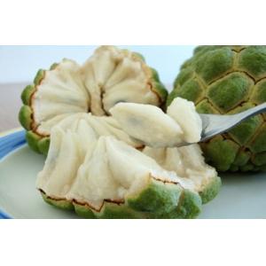 Cheap Manufacturer Supply Graviola Soursop Extract 4:1 for fruit juice application for sale