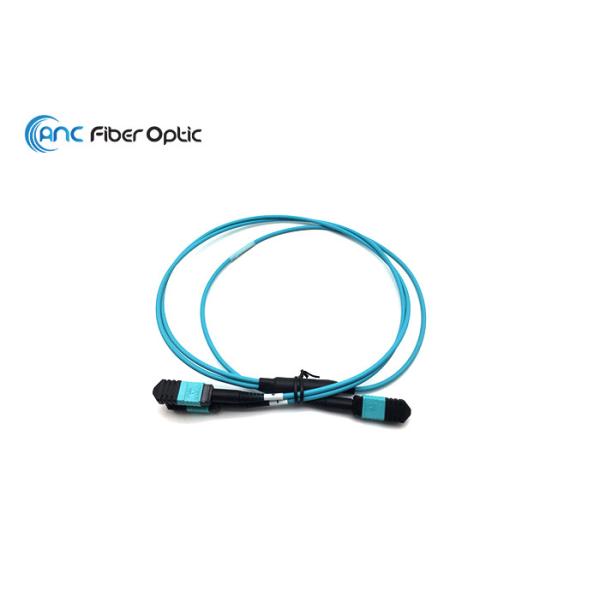 Quality 24F MPO to 2x 12F MPO Y Cable Assembly available in SM OM3 OM4 OM5 Cable wholesale