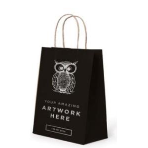 Embossed Printing Paper Bag 250gsm Printed Paper Carrier Bags