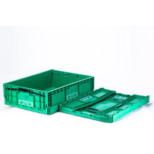 Foldable Yes EU Plastic Foldable Container for Transport and Storage Customized