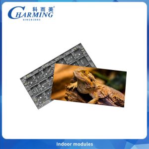 P2 320*160mm LED Video Wall Panel Small Pixel Pitch Indoor Advertising Screen