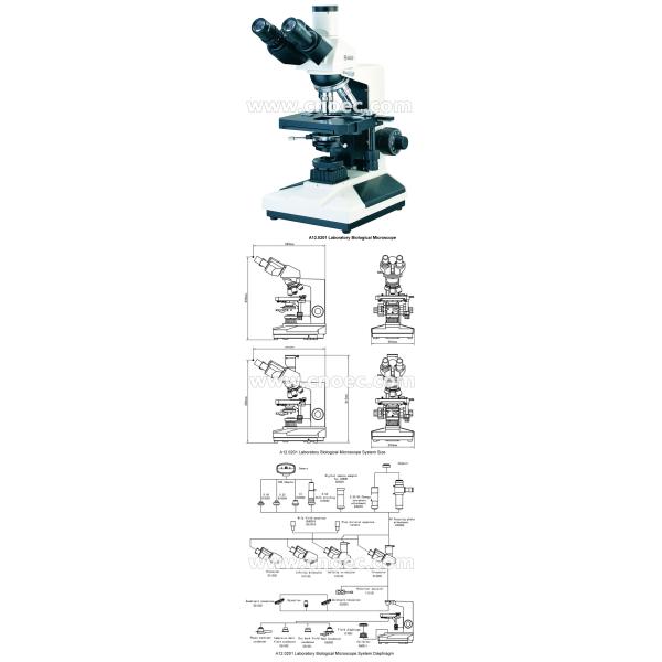 Biological Microscope Plan Objective 40X - 1000X With CE A12.0201