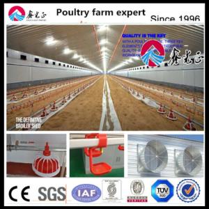 Steel Poultry House with Sliding Windows and Ventilation