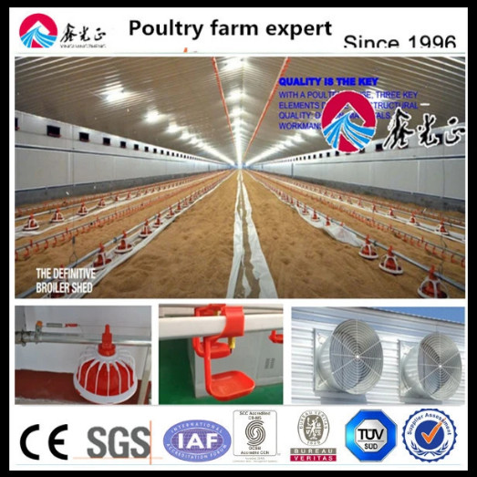 Quality Steel Poultry House with Sliding Windows and Ventilation wholesale