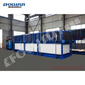 20 Tons Per Day Industrial Direct Cooling System Block Ice Maker for Ice Block