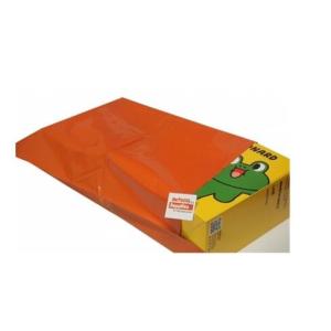 Custom Printed Self Adhesive Opp Bag Packing for Express and Cloting packing