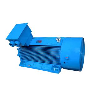 IE3 Medium Voltage Induction Motor Low Speed ROHS Cast Iron