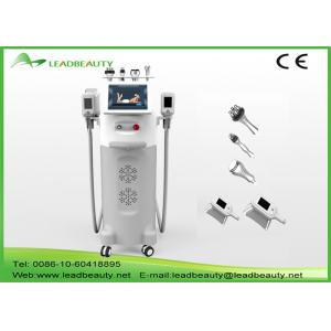 China Professional fast cryo slimming fat freezing cryolipolysis machine on sale