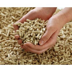 Flat Die Wood Pellets Machine 1100kg/ H 800kg/ H Energy Saving Rustproof