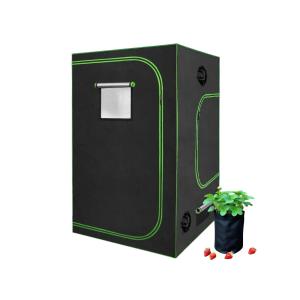 China Home Garden, Oxford Fabric, 120x120x200 Grow Tent Complete Kit, Metal Frame, for Hydroponics Indoor Plant on sale