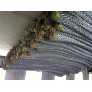China chian wire fencing supplier ,chain wire fencing factory supply woven wire