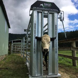 40*40mm*1.6mm Frame Cattle Crush Galvanized Steel Heavy Duty